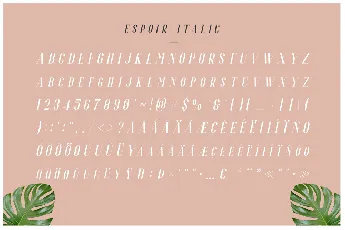 Espoir Serif Demo font