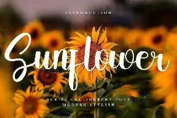 Sunflower font