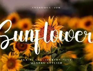 Sunflower font