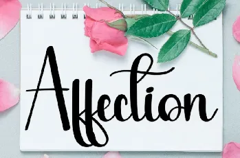 Afternoon Script font