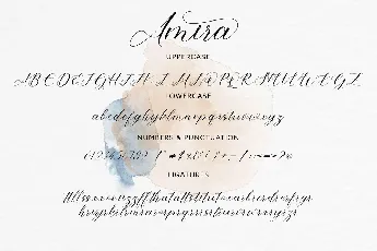 Amira font