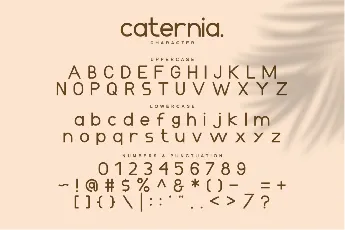 Caternia font