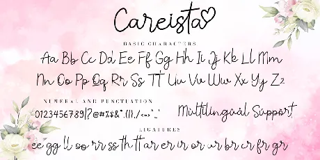 Careista font