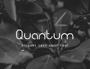 Quantum Free font