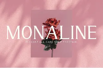 Monaline font