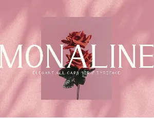 Monaline font