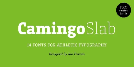 CamingoSlab Family font