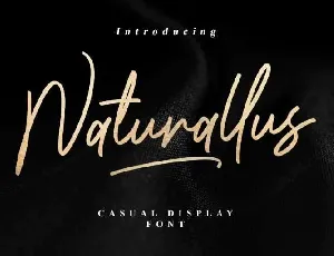 Naturallus Stylish font