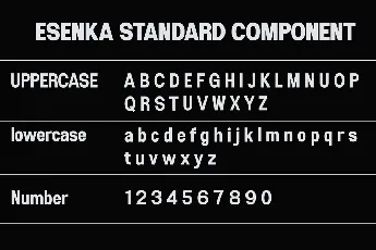 Esenka Family font