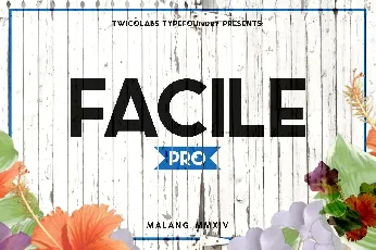 Facile Pro font