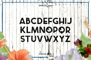 Facile Pro font