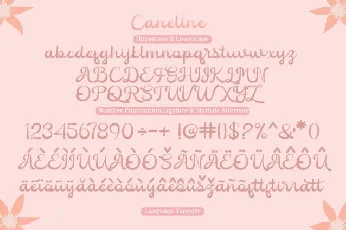 Caneline Script font