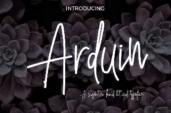 Arduin Script font