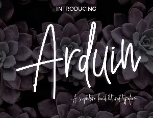 Arduin Script font