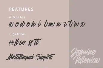 Jasmine Vellonica font