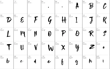 Nightype font