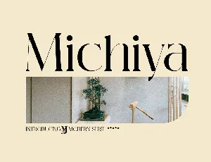 Michiya font