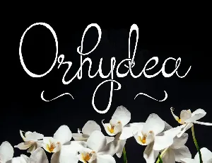 Orhydea font