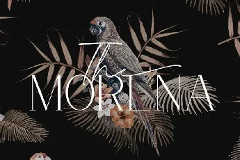 Morena Serif font