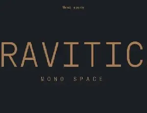 Gravitica Mono Sans Serif font