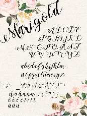 Marigold Free font