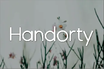 Handorty font