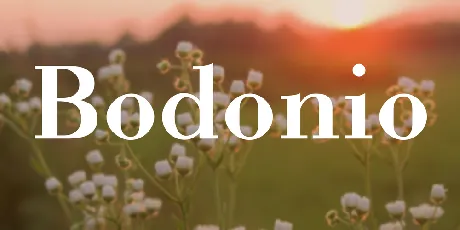 Bodonio font