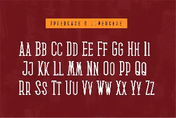 Medan Slab font