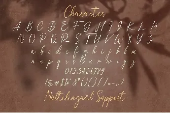 Dulan Anzelica font