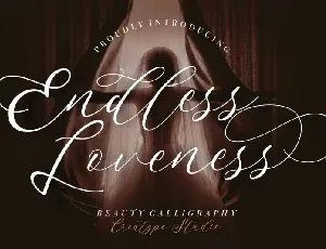 Endless Loveness font