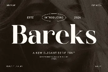 Bareks font