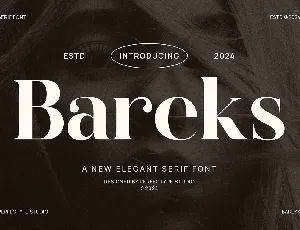 Bareks font