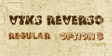 VTKS REVERSO font