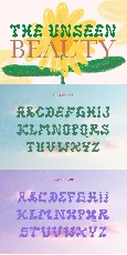 Pleatures Demo font