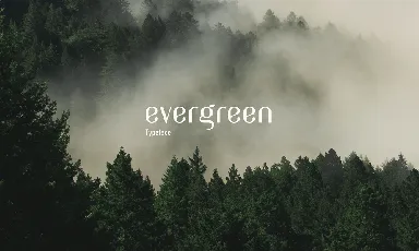 Evergreen Typeface font