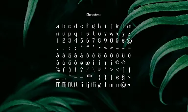 Evergreen Typeface font