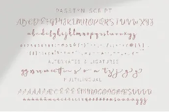 Passtyn Sans font