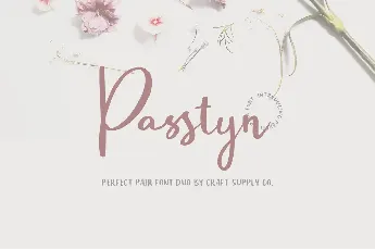 Passtyn Sans font