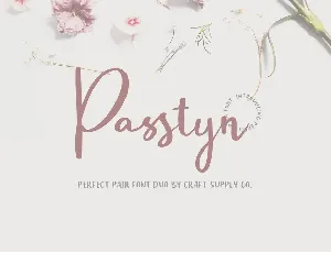 Passtyn Sans font