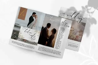 Elegant Wedding Demo font