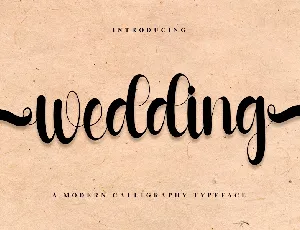 Wedding Script Typeface font