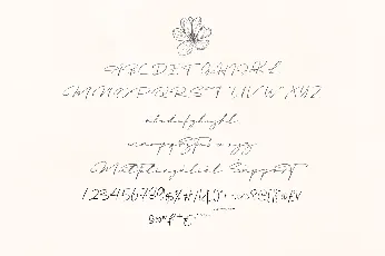 Mastrih font