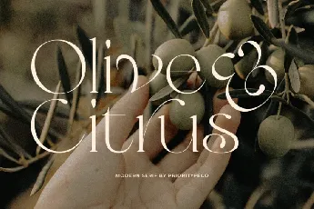 Olive & Citrus font