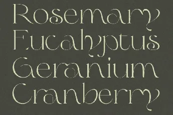 Olive & Citrus font