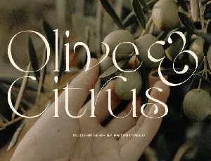 Olive & Citrus font