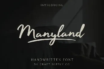 Manyland font