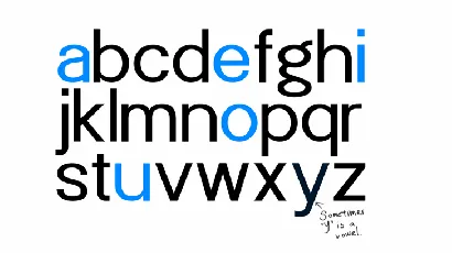 POE Sans New Family font