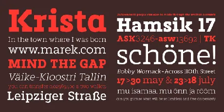 Marek Slab Family font