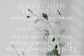 Hineda Signature font