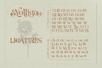 Nolliga font